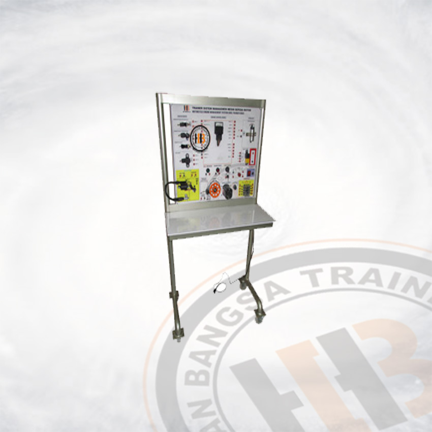 Motorcycle Engine Management System (EMS) Verza